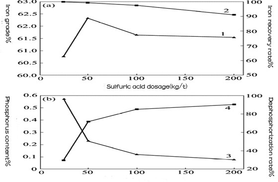 effect of sulfuric acid dosage on the quality of iron ore concentrate and the effect of phosphorus removal.jpg
